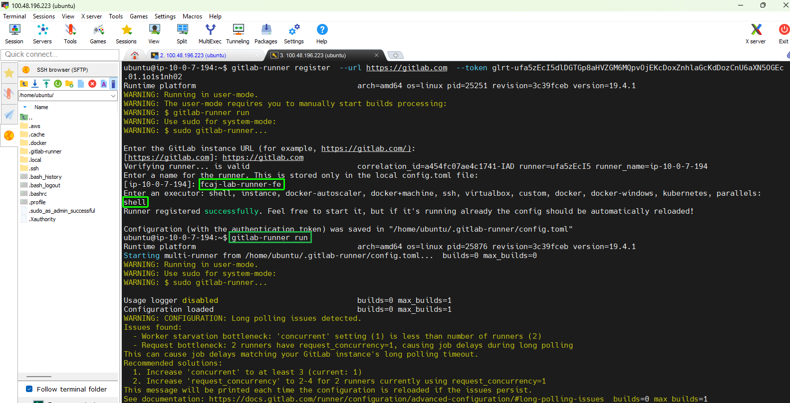 Start Frontend Runner