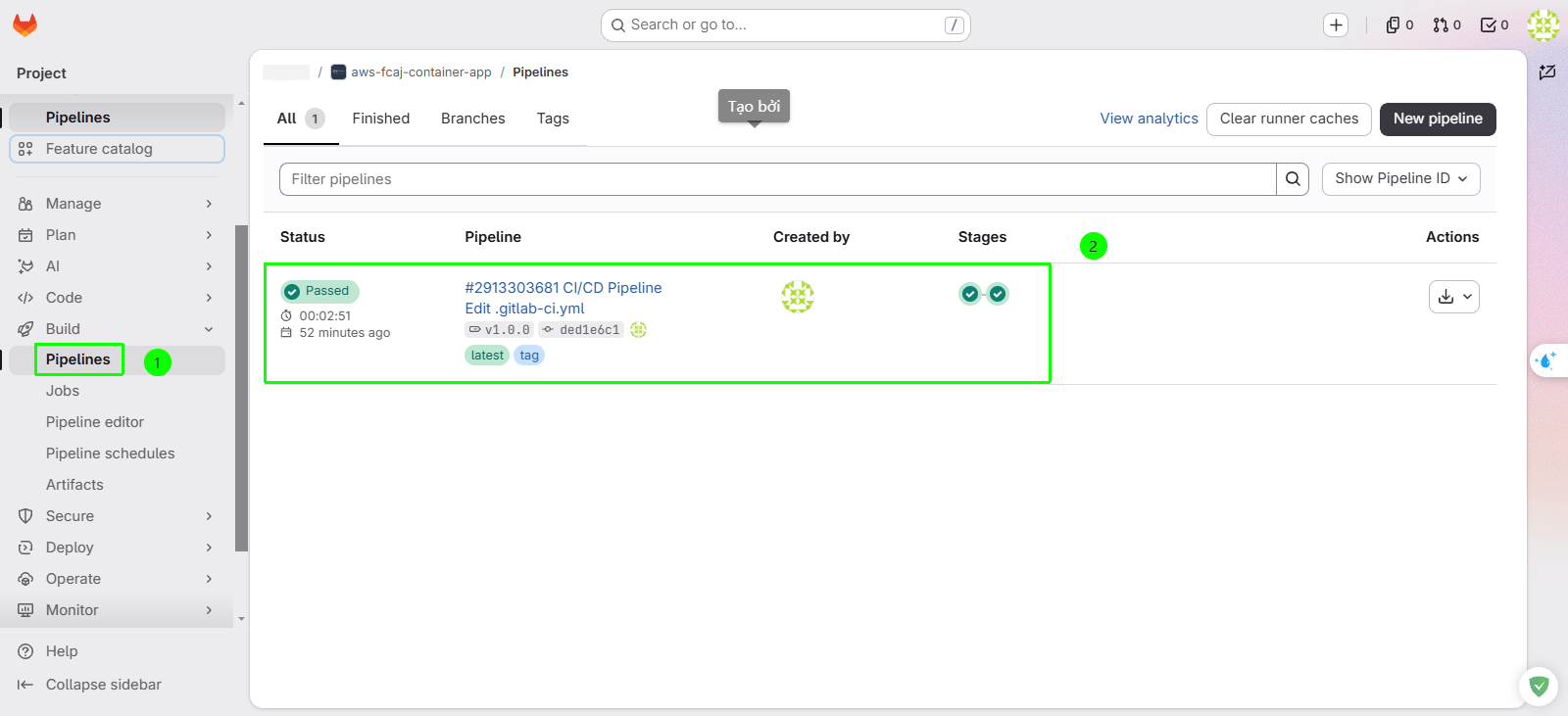 Access CI/CD Pipelines