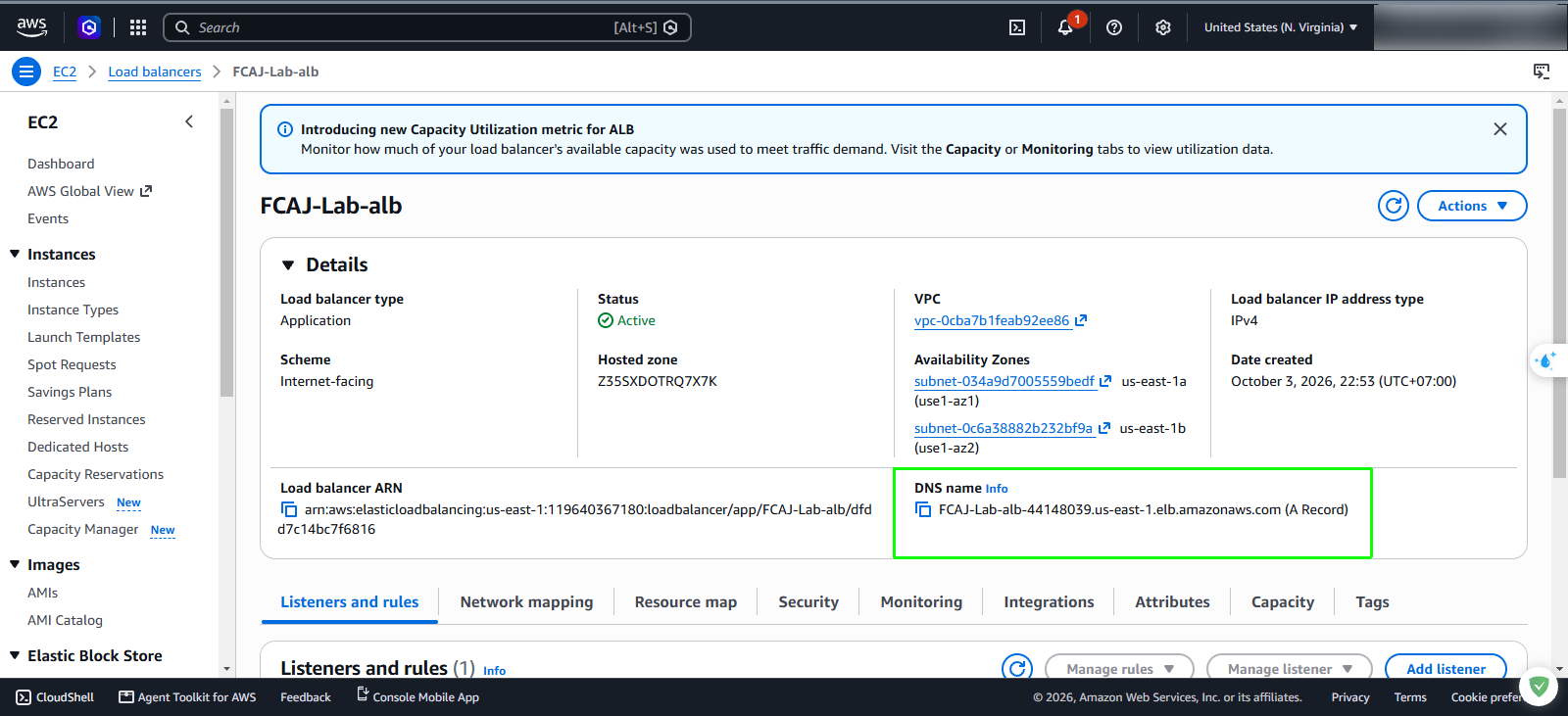 Application Load Balancer DNS name in EC2 console