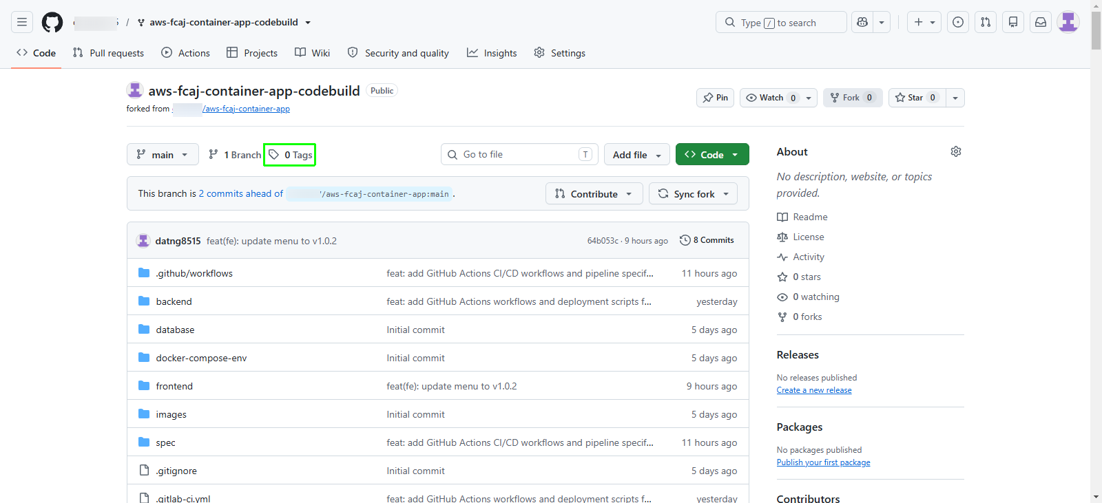 Access GitHub repository tags and releases