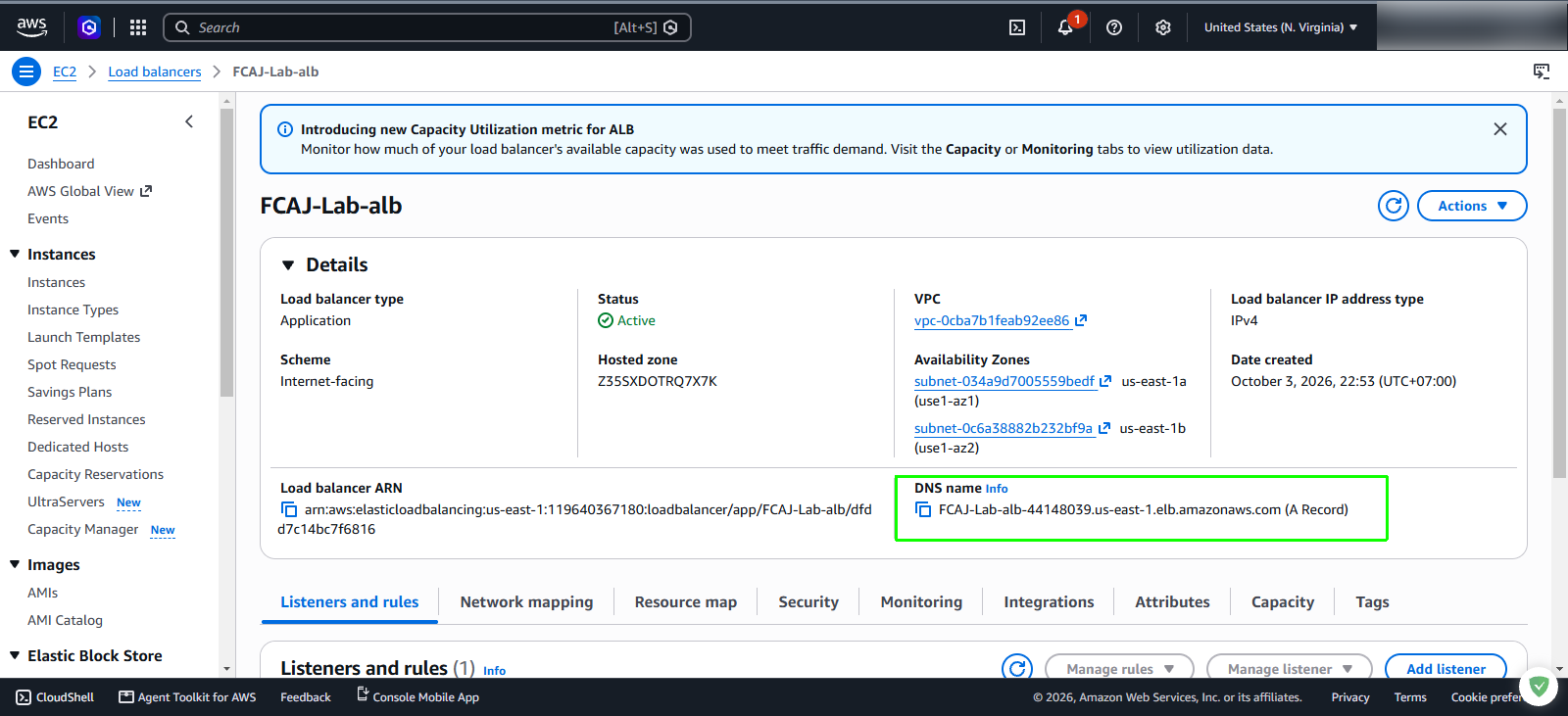 Retrieve Application Load Balancer DNS name